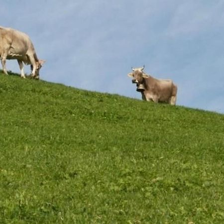 Sankt PeterzellBauernhof Hasenbueelアパートメント エクステリア 写真