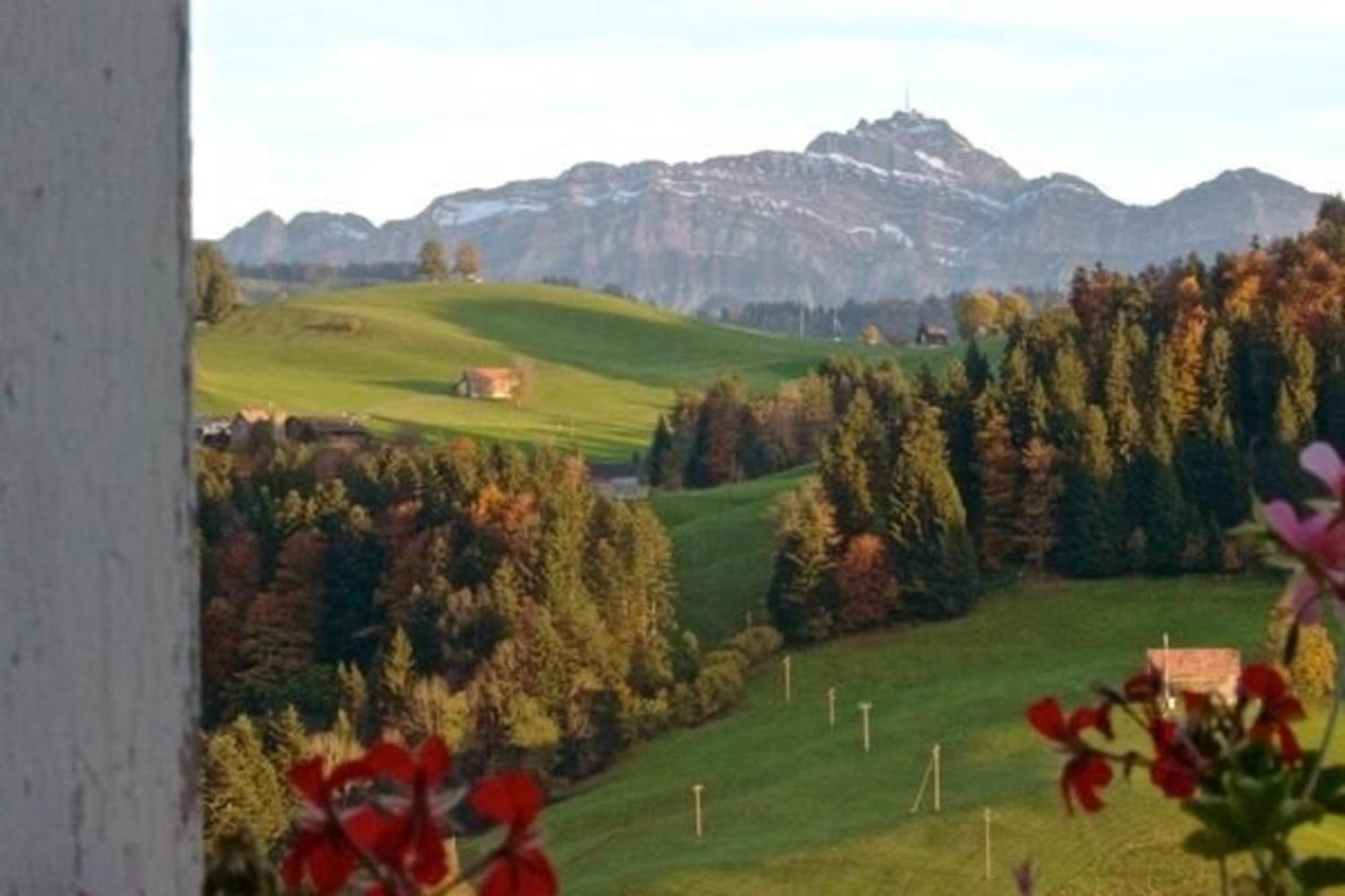 Sankt PeterzellBauernhof Hasenbueelアパートメント エクステリア 写真